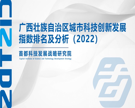 干美国女人人大逼,【成果发布】广西壮族自治区城市科技创新发展指数排名及分析（2022）